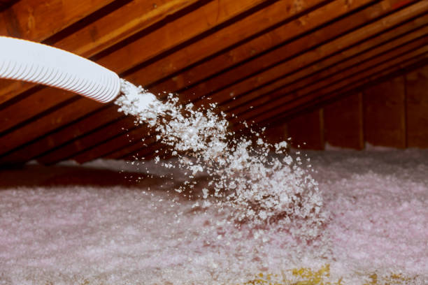 Best Cellulose Insulation  in Eureka, MO