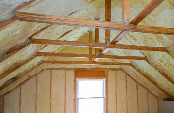 Best Home Insulation Services  in Eureka, MO