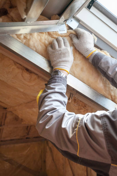 Best Insulation for Commercial Buildings  in Eureka, MO