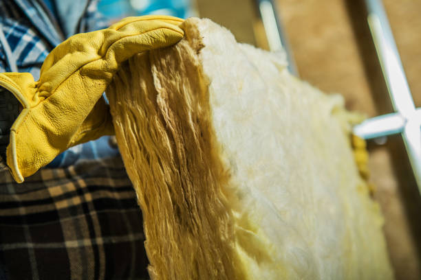 Best Wall Insulation Contractor  in Eureka, MO