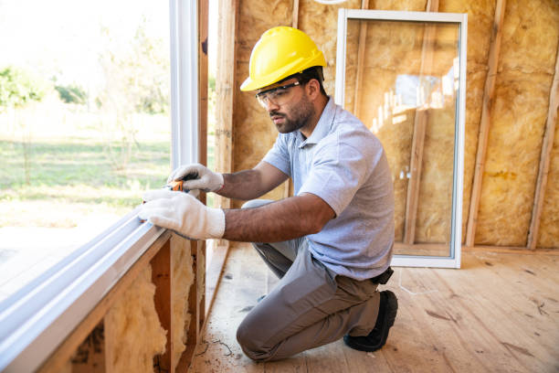 Best Insulation Removal  in Eureka, MO