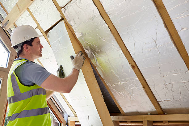 Best Insulation Contractor Near Me  in Eureka, MO