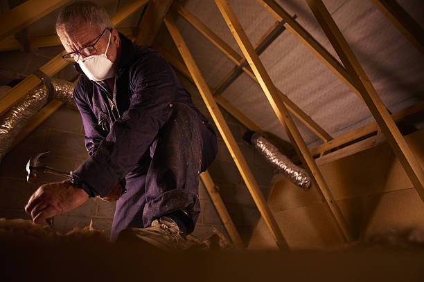 Best Crawl Space Insulation  in Eureka, MO